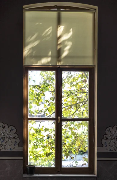 Close up interior shot of the window of a historical building with accompanying embroidery at wall. Foliage outside on a sunny day with dark interior.