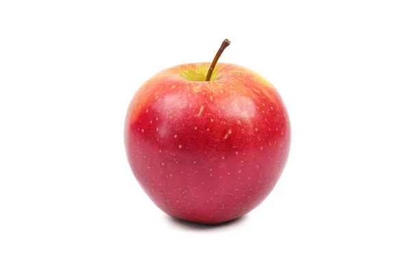 사과에 고립되어 — 스톡 사진