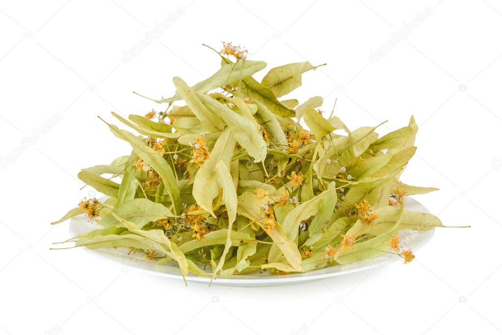 linden flowers on a plate, isolated on a white background