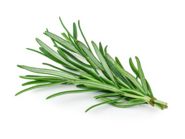 dal biberiye beyaz bir arka plan üzerinde