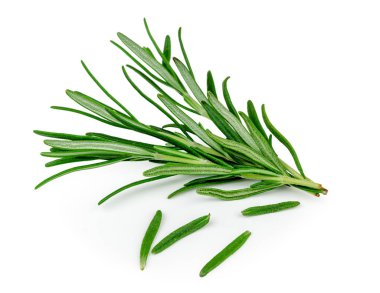 dal biberiye beyaz bir arka plan üzerinde