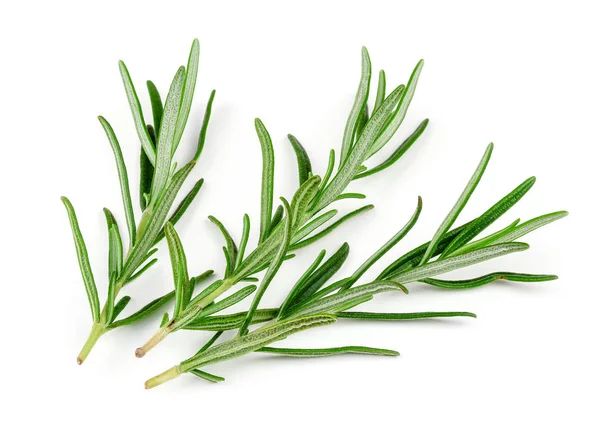 Sprigs Rosemary White Background — Stock Photo, Image