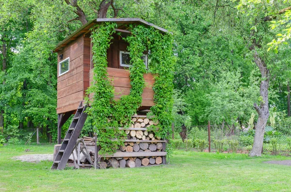 Trähus Ett Träd Trädgården — Stockfoto