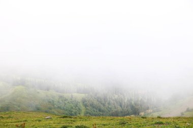 Dağ manzarası. Bulutlardaki dağlar.