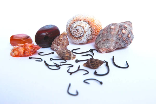 kabukları ve balıkçılık kanca beyaz arka plan üzerinde izole 