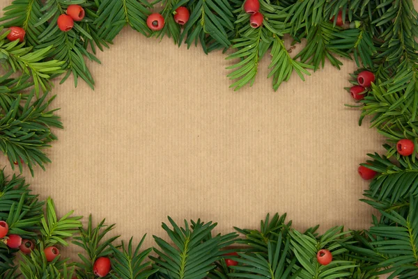 Porsuk (bitki) baccata Kağıt arka plan üzerinde olgun kırmızı meyveler ile. Closeup porsuk (bitki), baccata veya olgun çilek ile Avrupa Yew. Noel arka plan. Tebrik kartı