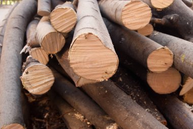 Odun yığını. Cuted ağacı. Ahşap günlükleri kışa hazır yığını