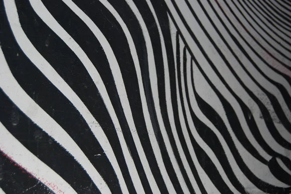 Bir zebra siyah ve beyaz doku. arka planlar. Tasarım 