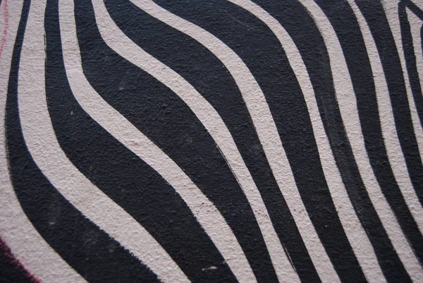 Zebra Texture Black White Backgrounds Design — Stock Photo, Image