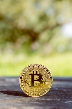 bitcoin doğa kopya alanı metin için arka plan ile eski ahşap masa üzerinde yığını kapat