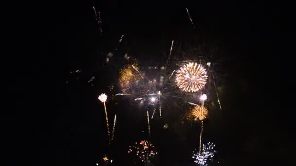 黒を背景に花火 ストック動画 C Fosters