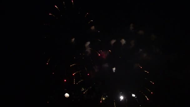 Fuegos Artificiales Sobre Fondo Negro Metraje De Stock Sin Royalties Gratis