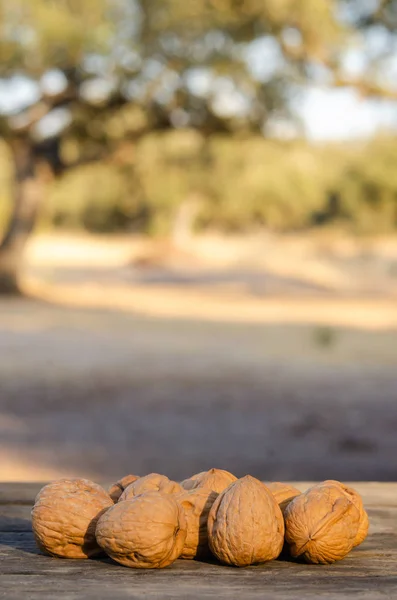 Deliciosas nueces sobre mesa de madera con espacio de copia para texto — Foto de Stock