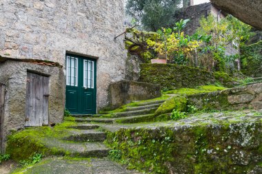 Monsaraz yosun ve bitkiler ile sokak, Portekiz