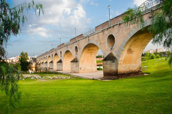 Palms bridge, Badajoz, Extremadura, Espanha — Fotografia de Stock