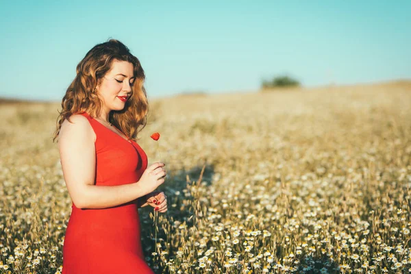 Mujer Con Vestido Rojo Amapola Mano Campo Imagen de archivo