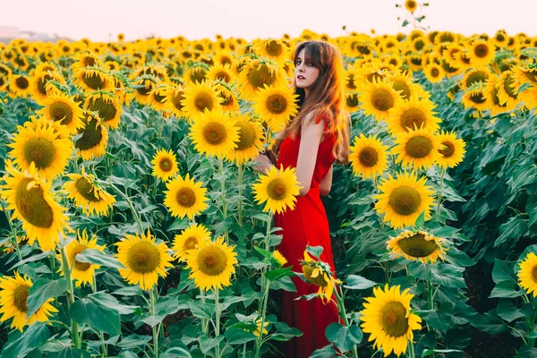 Kvinna med röd klänning i solrosor fält — Stockfoto