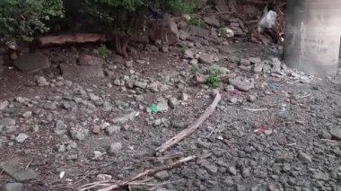 Plastik torbalar ve her türlü çöp bir nehir kenarında. Çevre kirliliği.