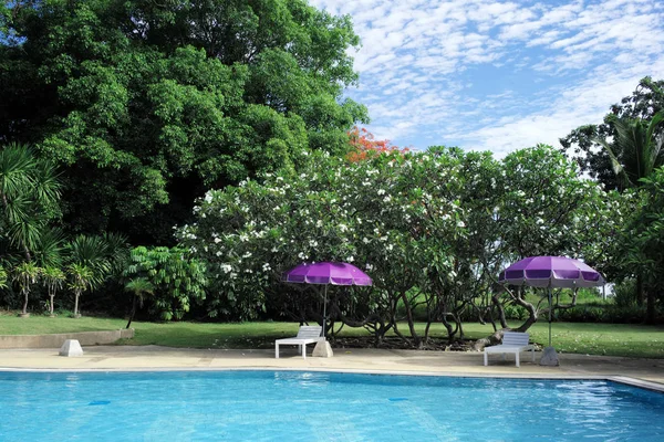 Piscina Jardim Tropical Dia Ensolarado Tailândia — Fotografia de Stock