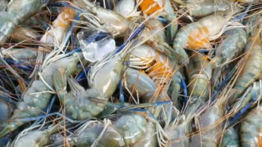 taze pazarda karides