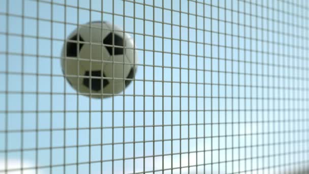 Calcio Volando Giorno Del Gol — Video Stock