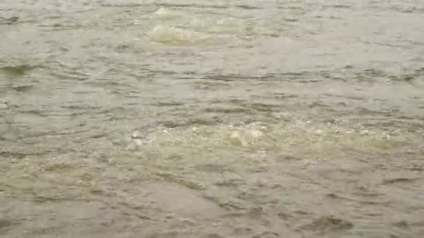 vidéo de l'eau bouillante 