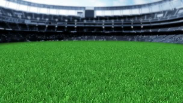 Vídeo Grass Stadiam — Vídeos de Stock