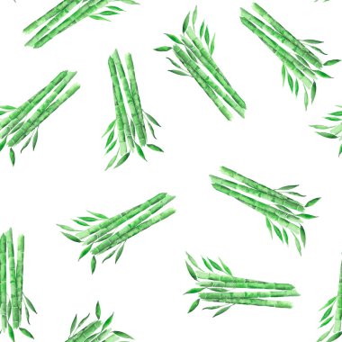 Yeşil Bambu desen kaynaklanıyor. Suluboya elle çizilmiş botanik illüstrasyon. Baskı Tekstil, duvar kağıdı, ambalaj için