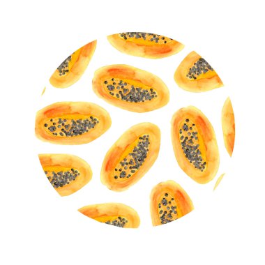 Papaya, papaya parçası, papaya yaprakları ile suluboya seti