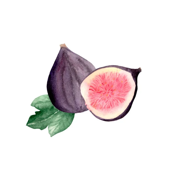 Watercolor Set Fresh Figs Slices Figs Leaves White Background Watercolor — Stock Photo, Image