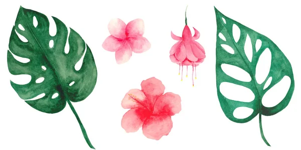 Akvarell Készlet Trópusi Levelek Virágok Monstera Levelek Pálmafák Trópusi Levelek — Stock Fotó