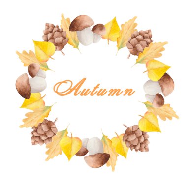 beyaz bir arka plan üzerinde mantar, yaprak ve konisulu sonbahar seti