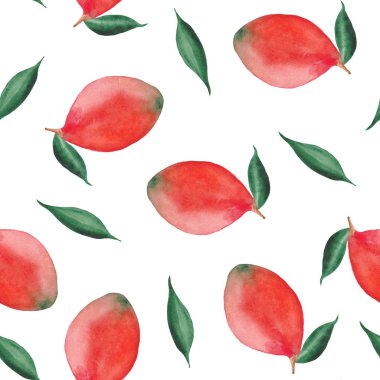 mango ile suluboya deseni, mango dilimleri ve beyaz bir arka plan üzerinde yaprakları