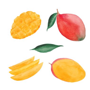 mango, mango dilimleri ve yaprakları ile suluboya seti