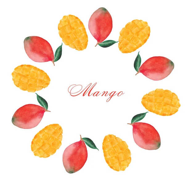マンゴー マンゴースライス 葉の水彩セット — ストック写真