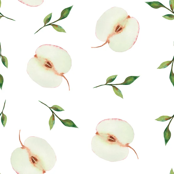 Υδατογραφία Φθινοπωρινό Μοτίβο Ρόουαν Φύλλα Μανιτάρια Μήλα Κώνους Λουλούδια Και — Φωτογραφία Αρχείου