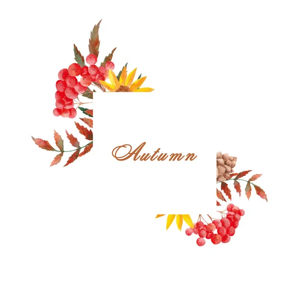 Aquarel Herfst Set Met Rowan Bladeren Paddestoelen Appels Kegels Bloemen — Stockfoto