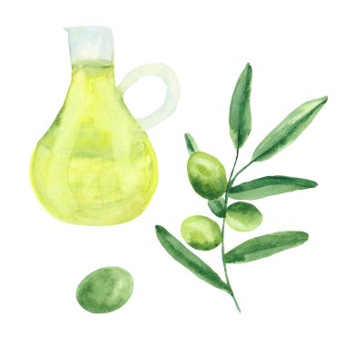 Zeytin, zeytin dalı, bir şişe zeytinyağı ile suluboya seti.
