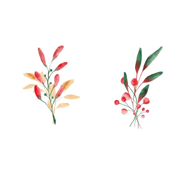 Akvarell Szett Karácsonyi Levelek Virágok Koszorúk Keretek — Stock Fotó