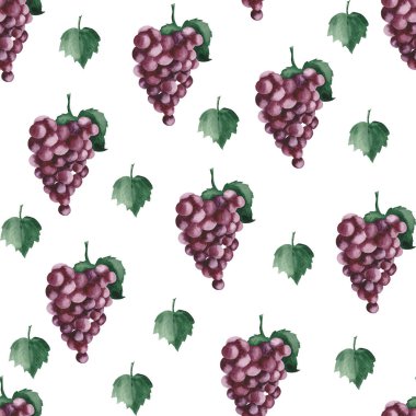  Mor üzüm ile suluboya deseni, beyaz bir arka plan üzerinde üzüm yaprakları.