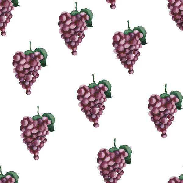 Padrão Aquarela Com Uvas Roxas Folhas Uva Fundo Branco — Fotografia de Stock