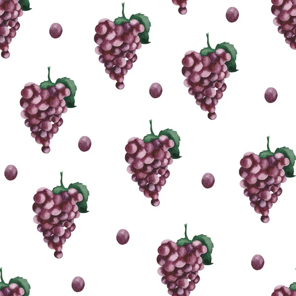 Watercolor pattern with purple grapes, grape leaves on a white background.