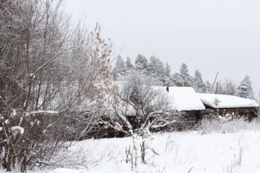 Ormanda, Rusya kar altında ahşap ev