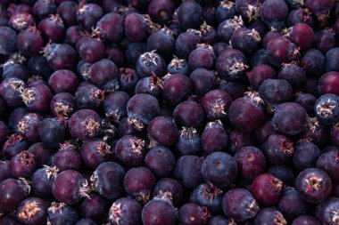 Böğürtlen kabuğu manzarası, yaz hasadı, sağlıklı yiyecekler.