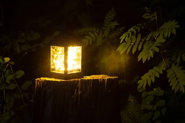 Lantern with yellow garland on an old tree stump in the forest at night, warm light