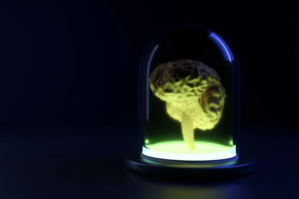 バックライト 知性と心を持つガラス瓶の中に緑の液体を持つ人間の脳 脳研究 メモリトレーニング 3Dレンダリングの最新技術 — ストック写真