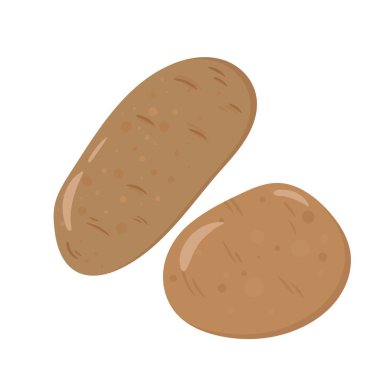 Patates, beyaz vektörde izole edilmiş. Taze çiftlik sebzeleri konsepti. Simge, afiş, poster için resim.