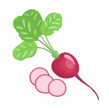 Taze turpun vektör çizimi ve karikatür şeklinde dilimleri. Beyaz arkaplanda izole.