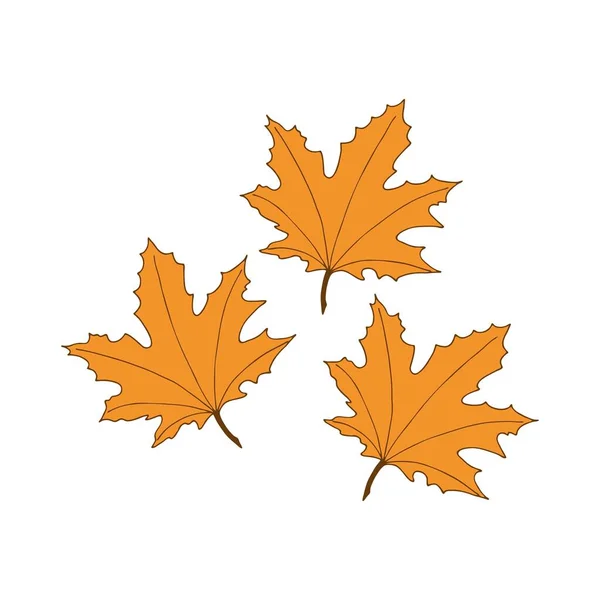 Maple Leaves Autumn Decoration Element Cartoon Style Vector Illustration Isolated — Stock Vector