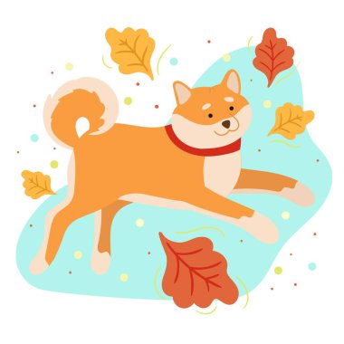 Sonbahar yapraklarıyla Şirin Shiba Inu. El çizimi vektör çizimi. Beyaz üzerine izole edilmiş komik bir köpek. Parmak izi ve tişört için sevimli bir hayvan..